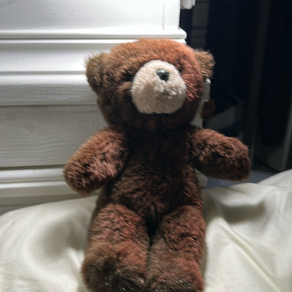 1984 Applause Avanti Teddy 14’ Brown Vintage